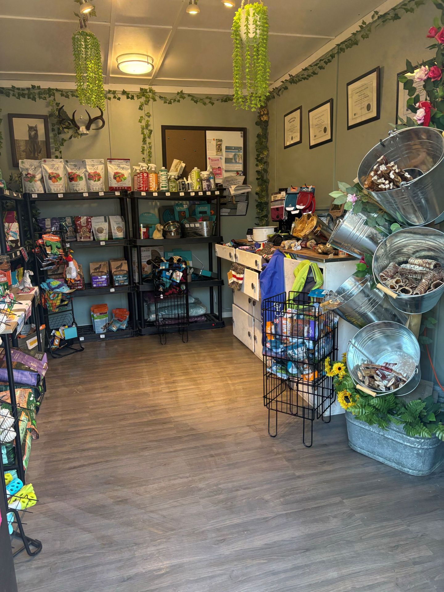 K9 shop scaled