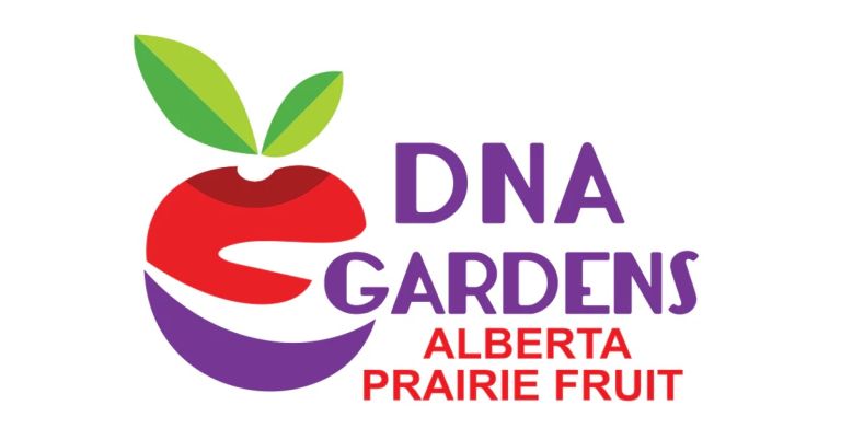 Dna logo 1 768x402