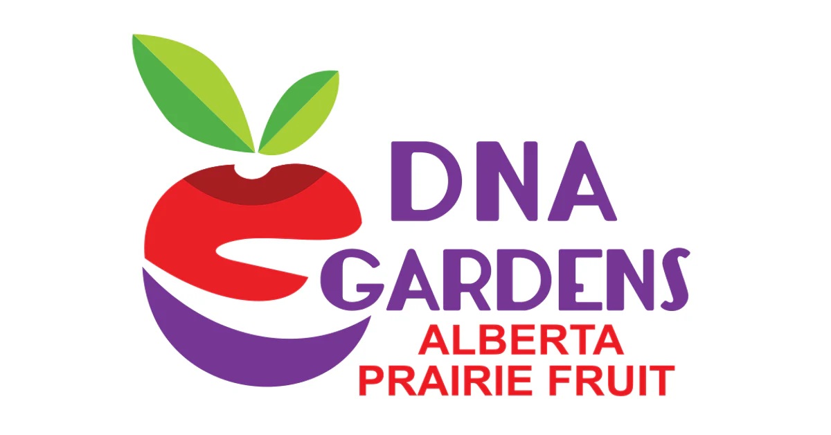Dna logo 1